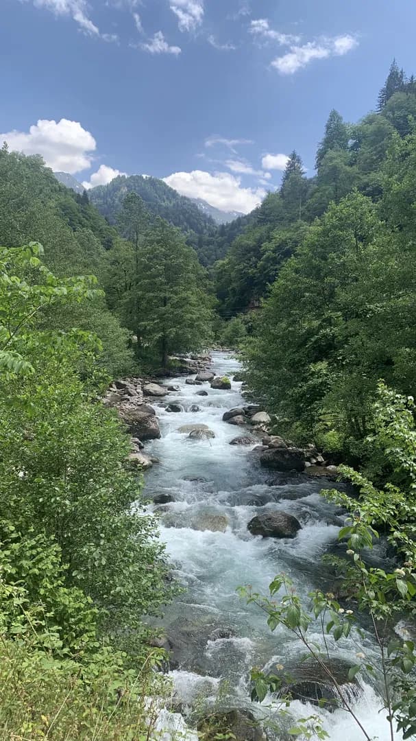 Macahel Fotoğrafı 16