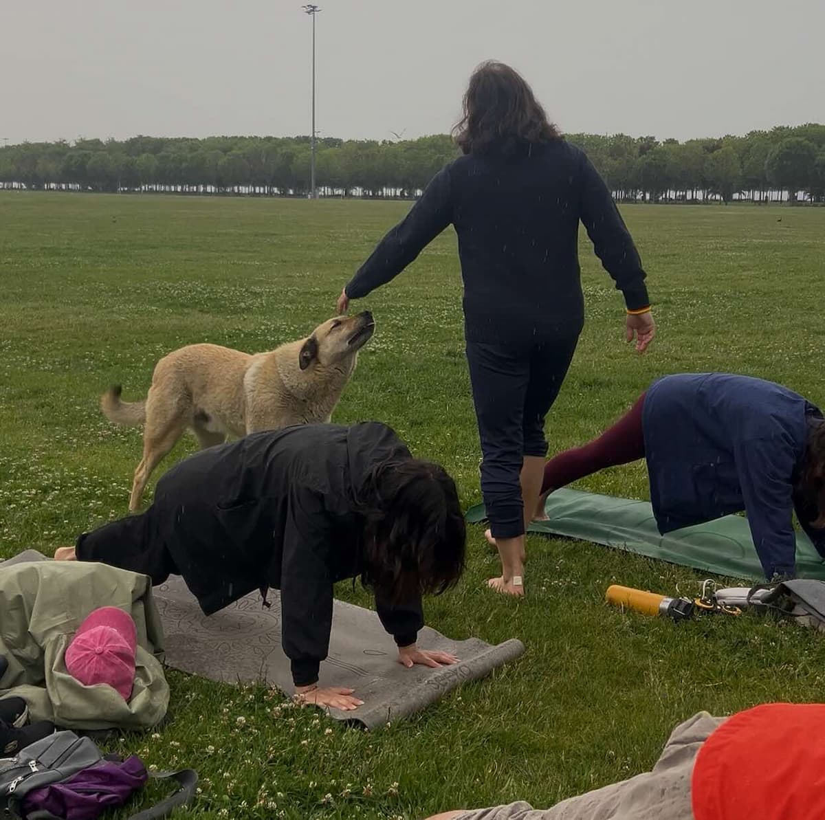 Kahvesine Yoga Fotoğrafı 5