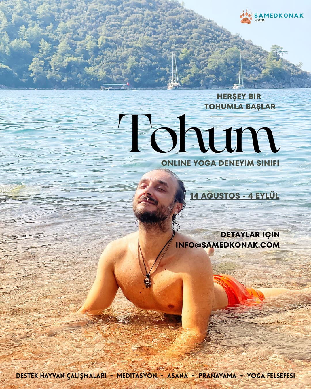 Tohum Grubu