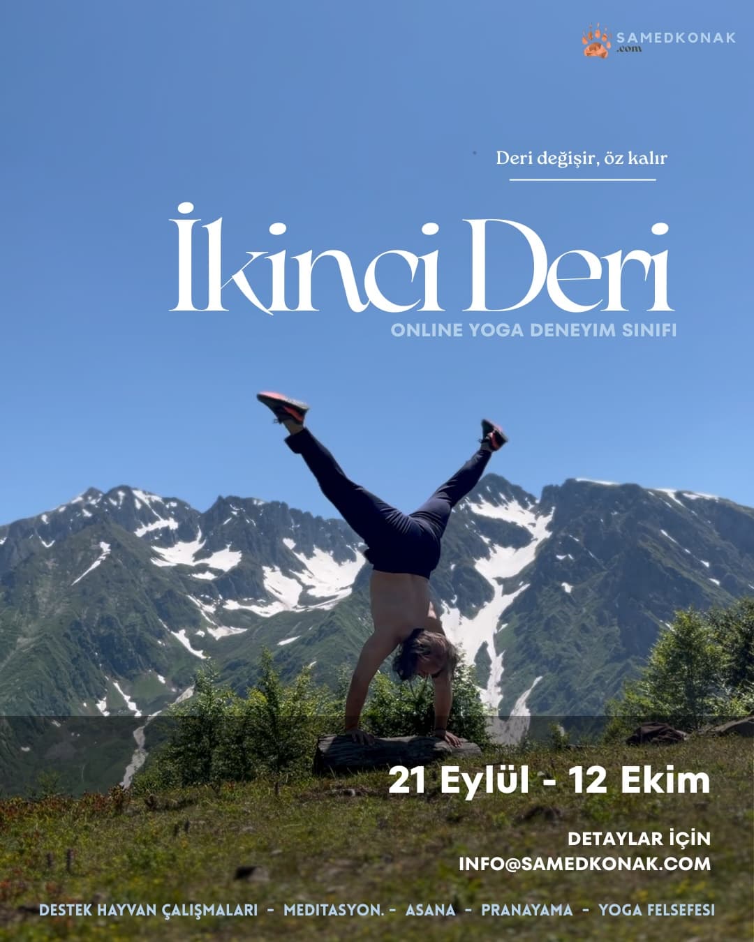 İkinci Deri Grubu – Eylül 2025